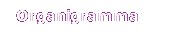 Organigramma